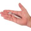 imageBerkley PowerBait Saltwater PowerStingerHD Mud Minnow