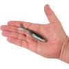 imageBerkley PowerBait Saltwater PowerStingerPinfish