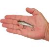 imageBerkley RipfishBlack Silver