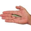 imageBerkley RipfishDark Shiner
