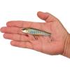 imageBerkley RipfishDark Shiner