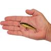 imageBerkley RipfishPerch