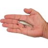 imageBerkley RipfishStealth Shad