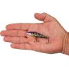 imageBerkley RipfishViking Perch