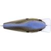 imageBerkley SquareBull Fishing Hard Bait