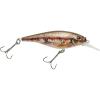HD Blacknose Dace HD Blacknose Dace