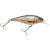 HD Fathead Minnow HD Fathead Minnow