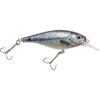 HD Spottail Shiner HD Spottail Shiner