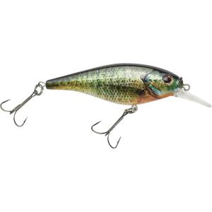 imageBerkley FFSHHD Bluegill