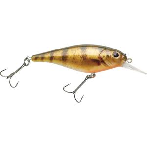 imageBerkley FFSHHD Yellow Perch