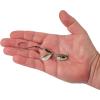 imageBerkley Bladed Rawler Fishing JigFlashy Fish Head