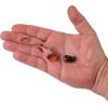 imageBerkley Bladed Rawler Fishing JigNightcrawler