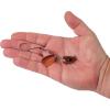 imageBerkley Bladed Rawler Fishing JigNightcrawler