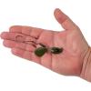 imageBerkley Bladed Rawler Fishing JigPacker Pumpkin