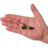 imageBerkley Bladed Rawler Fishing JigPacker Pumpkin