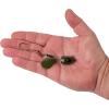 imageBerkley Bladed Rawler Fishing JigPacker Pumpkin