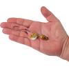 imageBerkley Bladed Rawler Fishing JigPerch