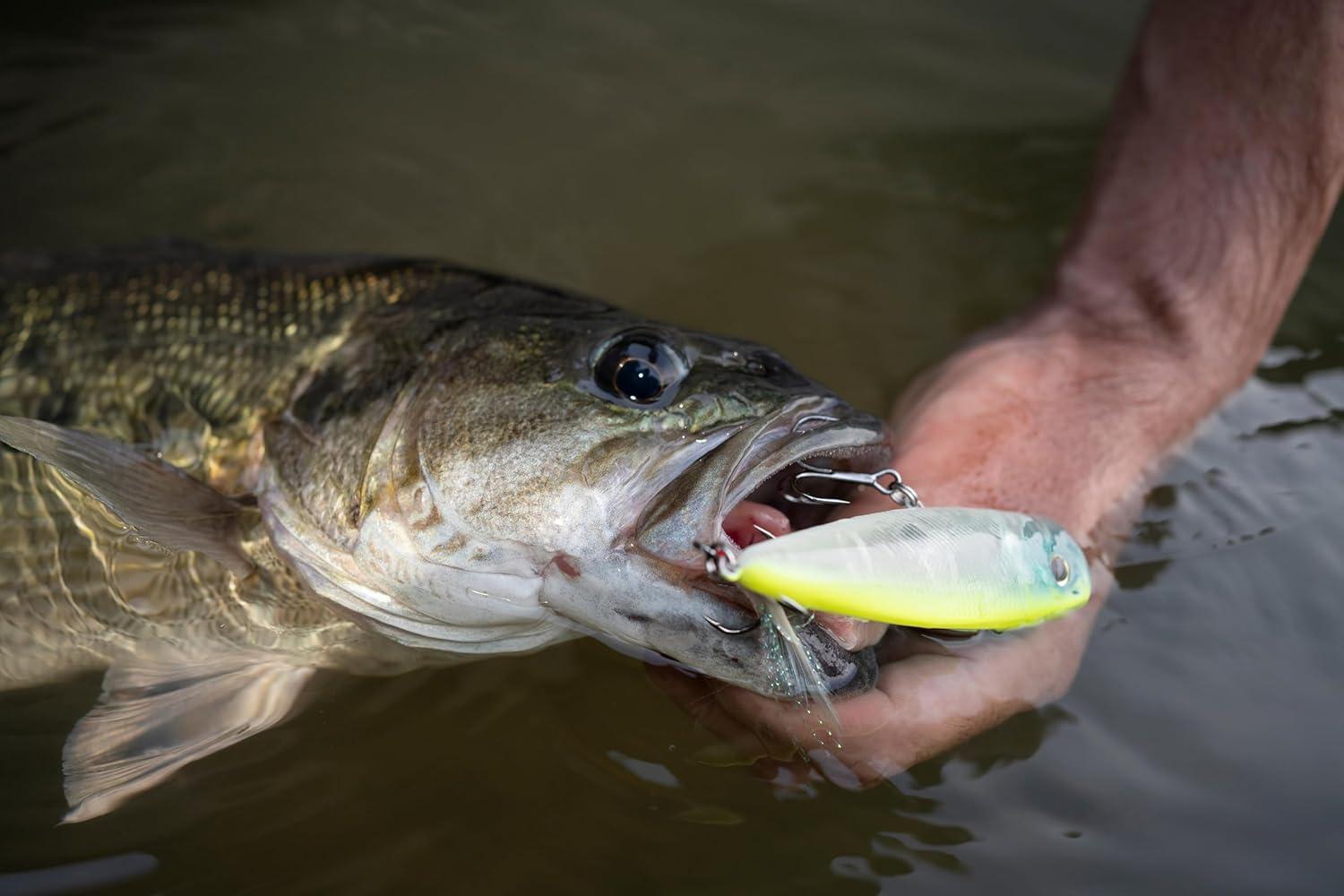 imageBerkley Bullet Pop Fishing Hard BaitBone