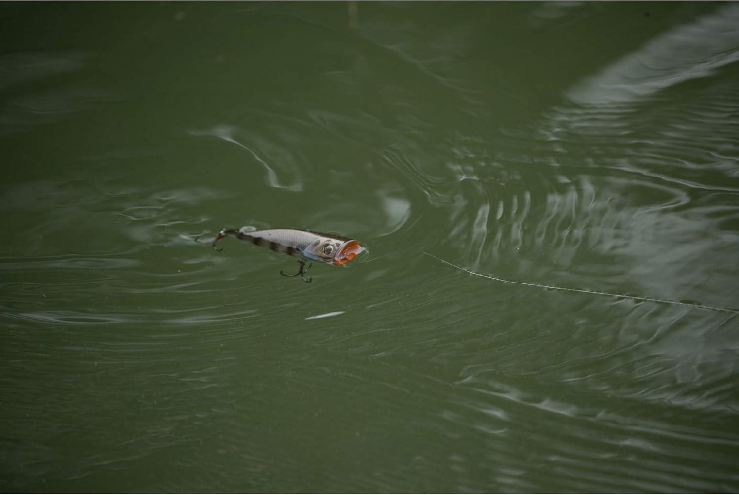 imageBerkley Bullet Pop Fishing Hard BaitDanald