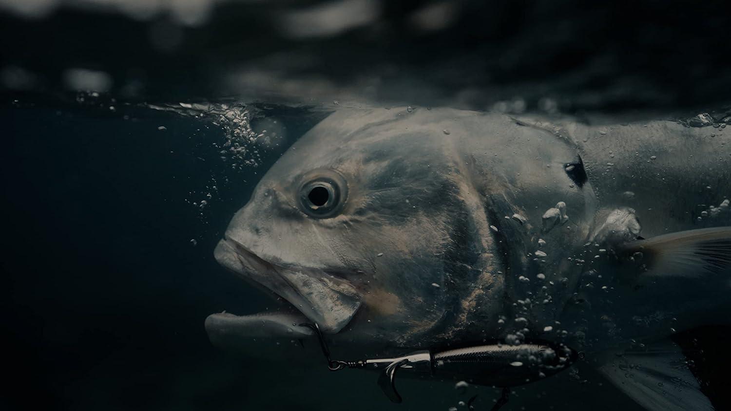 imageBerkley Choppo Saltwater Fishing Hard BaitPilchard