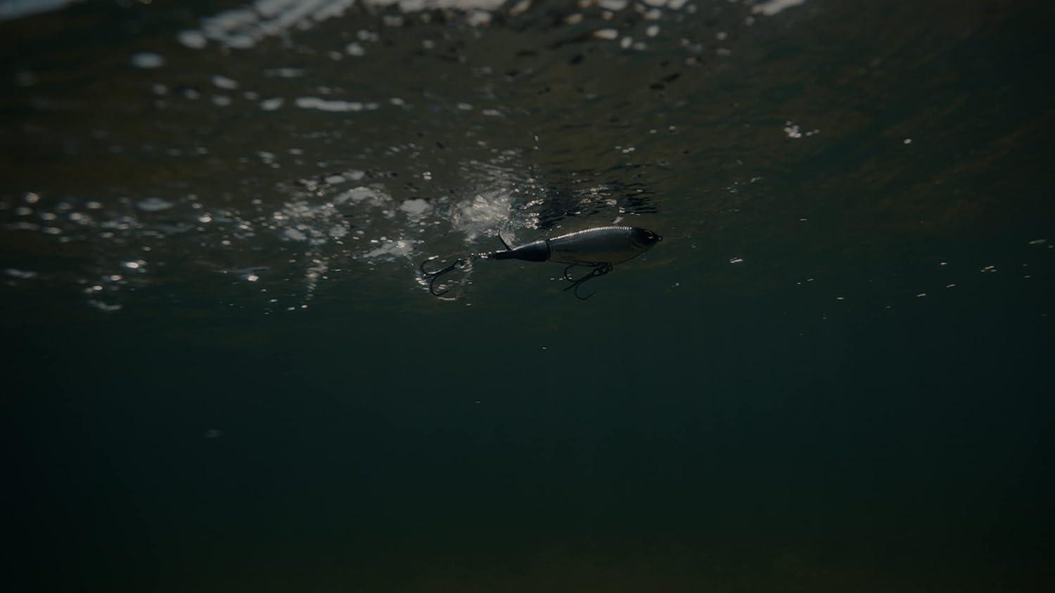 imageBerkley Choppo Saltwater Fishing Hard BaitPinfish