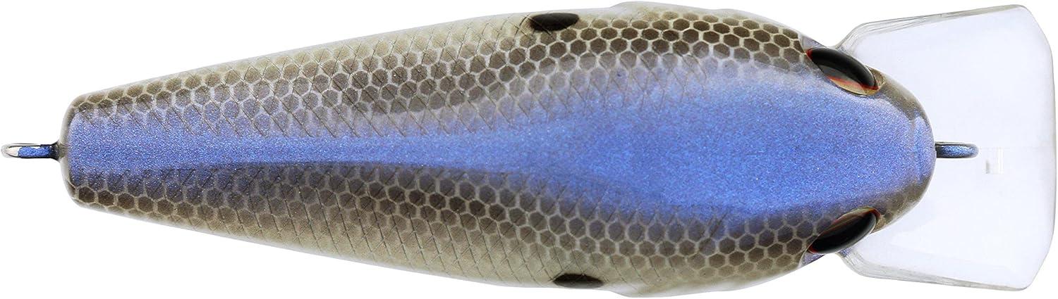 imageBerkley SquareBull Fishing Hard Bait  Blue Shad 2 38in  38 oz