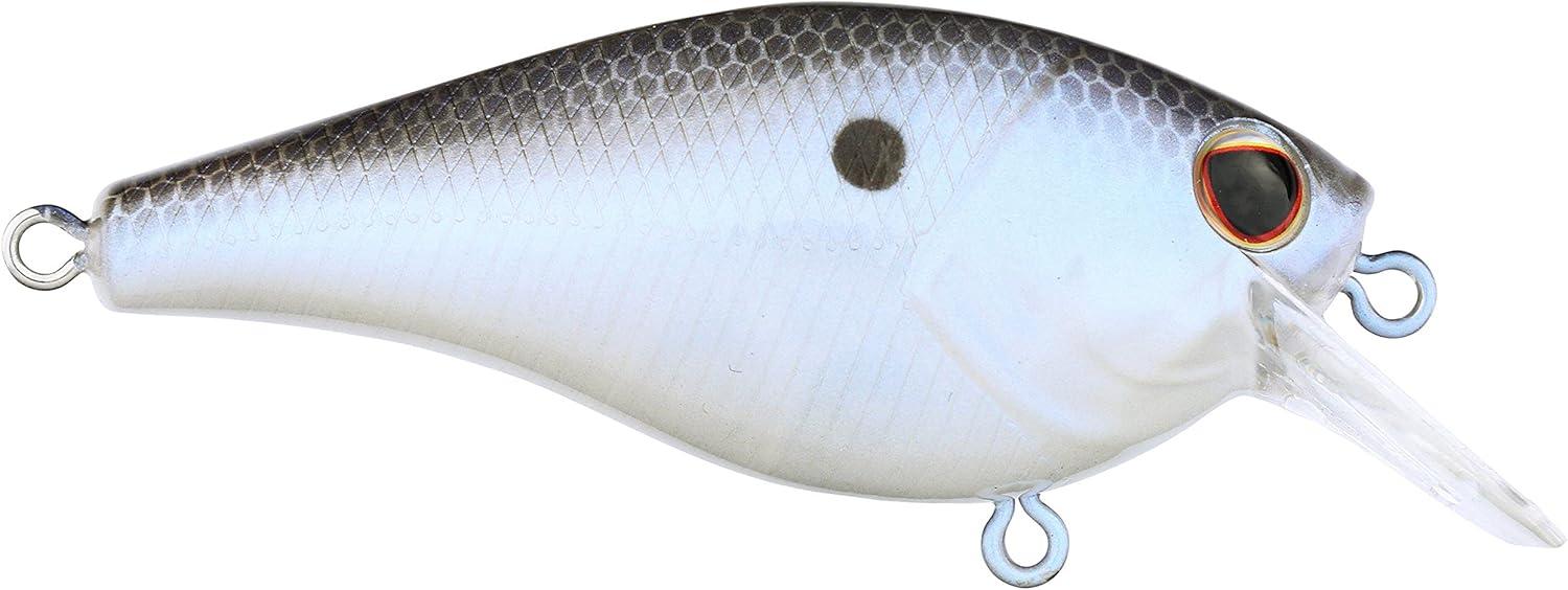 imageBerkley SquareBull Fishing Hard Bait  Blue Shad 2 38in  38 oz