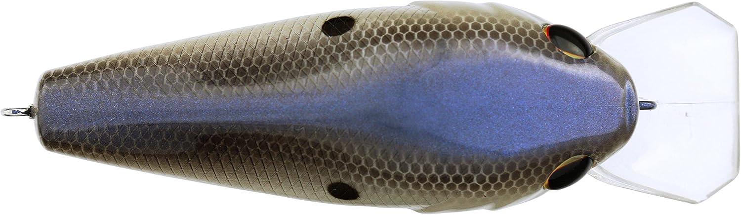 imageBerkley SquareBull Fishing Hard BaitBlue Shad
