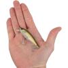 imageBerkley Berkley Cutter SaltwaterHD Pilchard