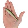 imageBerkley Berkley Cutter SaltwaterHD Pilchard