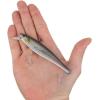 imageBerkley Berkley Cutter SaltwaterMullet