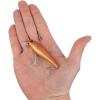 imageBerkley Berkley Cutter SaltwaterNew Penny