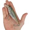 imageBerkley Berkley Juke Saltwater Fishing Hard BaitMangrove Minnow
