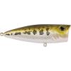 imageBerkley Bullet Pop Fishing Hard BaitBaby Bass