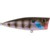 imageBerkley Bullet Pop Fishing Hard BaitBone