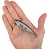 imageBerkley Cutter Saltwater Fishing Hard BaitMangrove Minnow