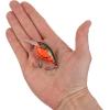 imageBerkley Dime Fishing Hard BaitRed Swamp Craw