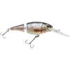HD Fathead Minnow