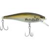 HD Pilchard