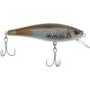 Mangrove Minnow