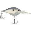 Blue Shad