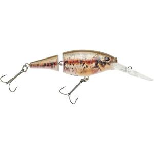 imageBERKLEY FLICKER SHAD 5 CRANKBAITHD Blacknose Dace
