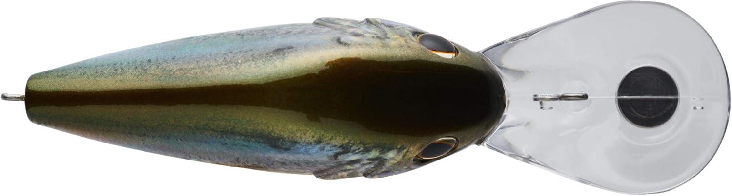 imageBerkley Dredger Fishing Hard BaitHD Blueback Herring