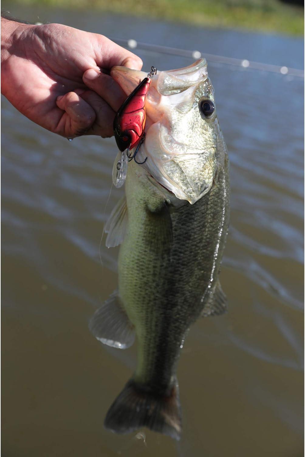 imageBerkley Dredger Fishing Hard BaitHD Threadfin Shad