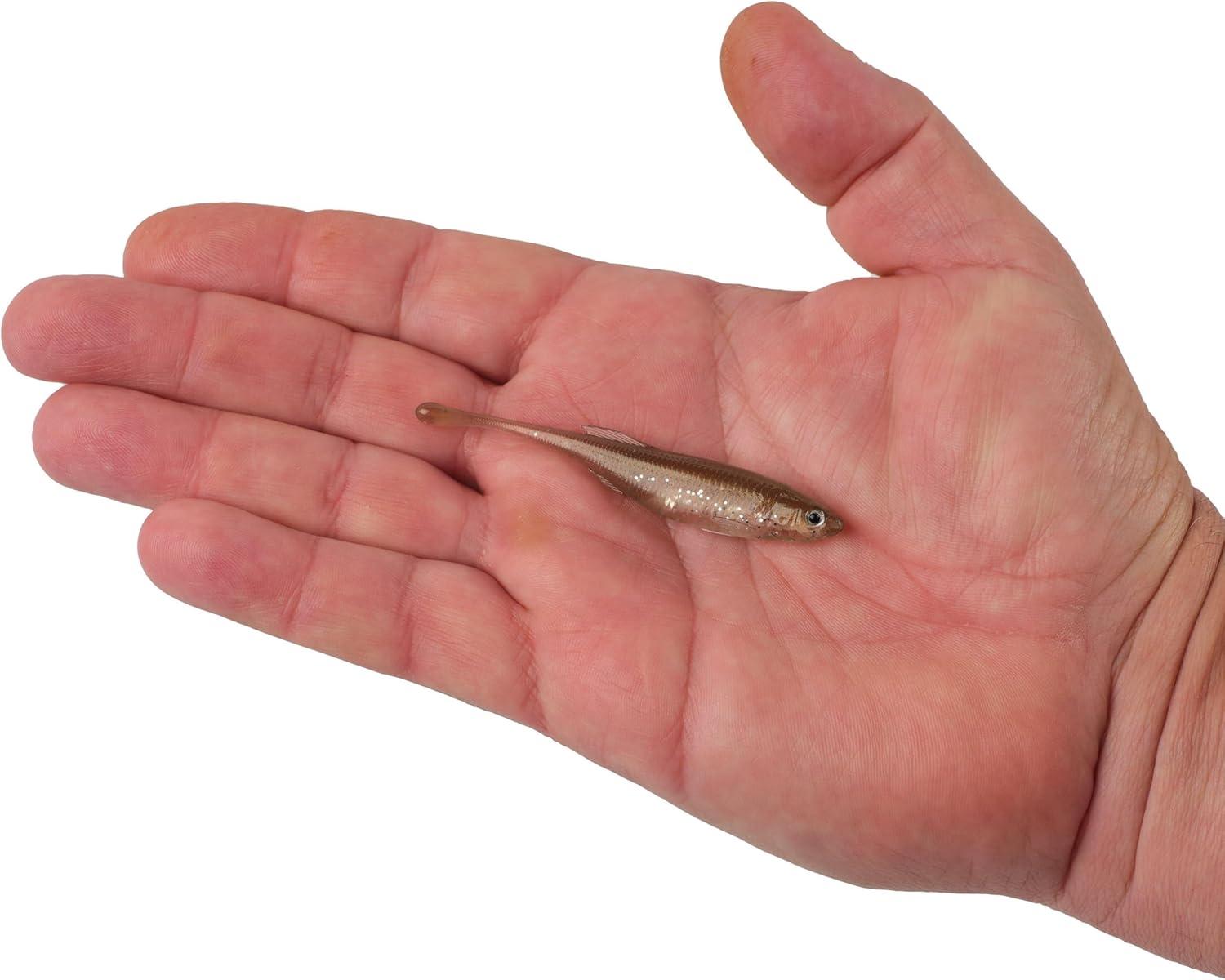 imageBerkley PowerBait Drip MinnowTennessee Shad