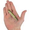 imageBerkley Berkley Drift Walker SaltwaterHD Pilchard