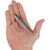 imageBerkley Berkley Drift Walker SaltwaterMangrove Minnow
