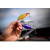 imageBerkley Berkley Flicker Shad ShallowFiretail Hot Perch