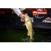 imageBerkley Berkley Flicker Shad ShallowFiretail Red Tail