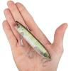imageBerkley Cane Walker Saltwater Fishing Hard BaitHD Pilchard